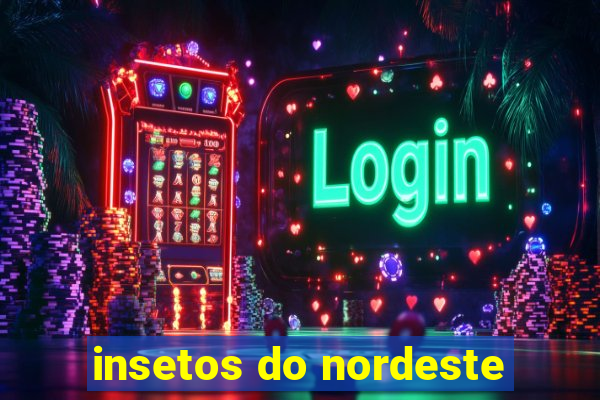 insetos do nordeste